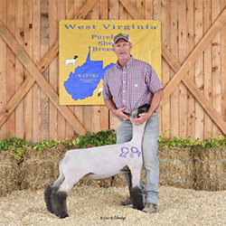 W VA Sale Winners
