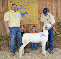 W VA Sale Winners