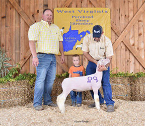 W VA Sale Winners