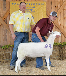 W VA Sale Winners