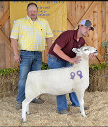 W VA Sale Winners