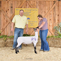 W VA Sale Winners