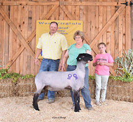 W VA Sale Winners
