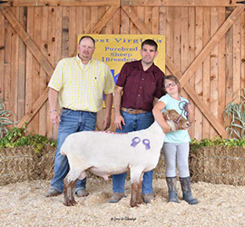 W VA Sale Winners