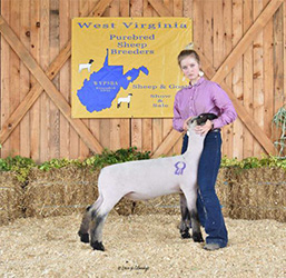 W VA Sale Winners