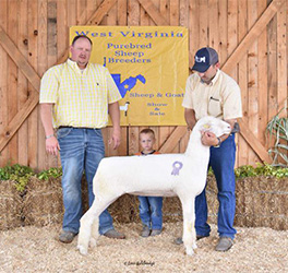 W VA Sale Winners