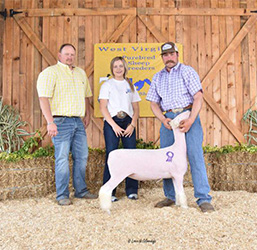 W VA Sale Winners