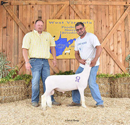 W VA Sale Winners