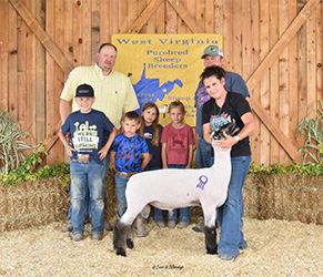 W VA Sale Winners