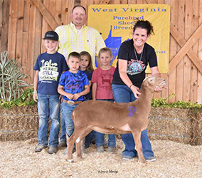 W VA Sale Winners