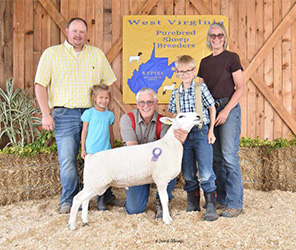 W VA Sale Winners