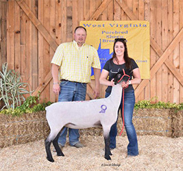 W VA Sale Winners