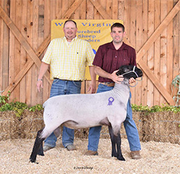 W VA Sale Winners