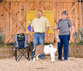 W VA Sale Winners