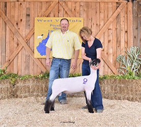 W VA Sale Winners