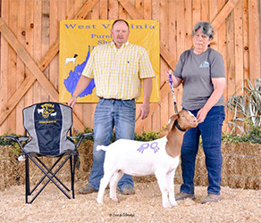 W VA Sale Winners