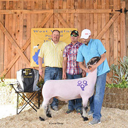 W VA Sale Winners